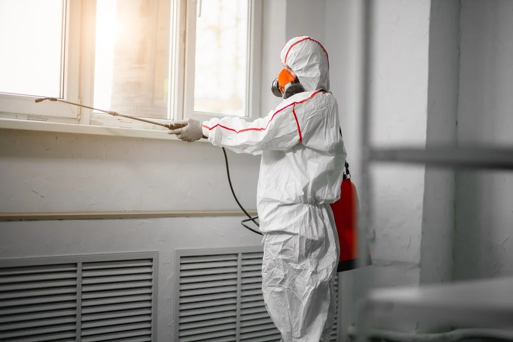 Professional mold remediation services in Wales Center, NY